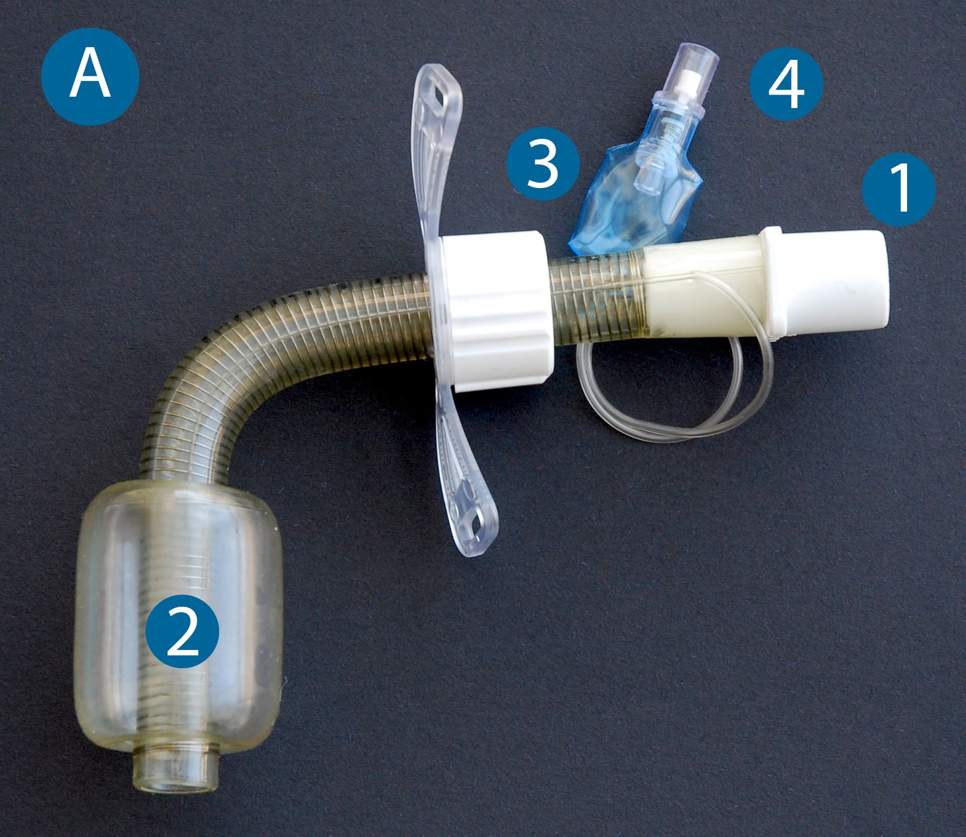 Stimmprothese Flexible Kan len